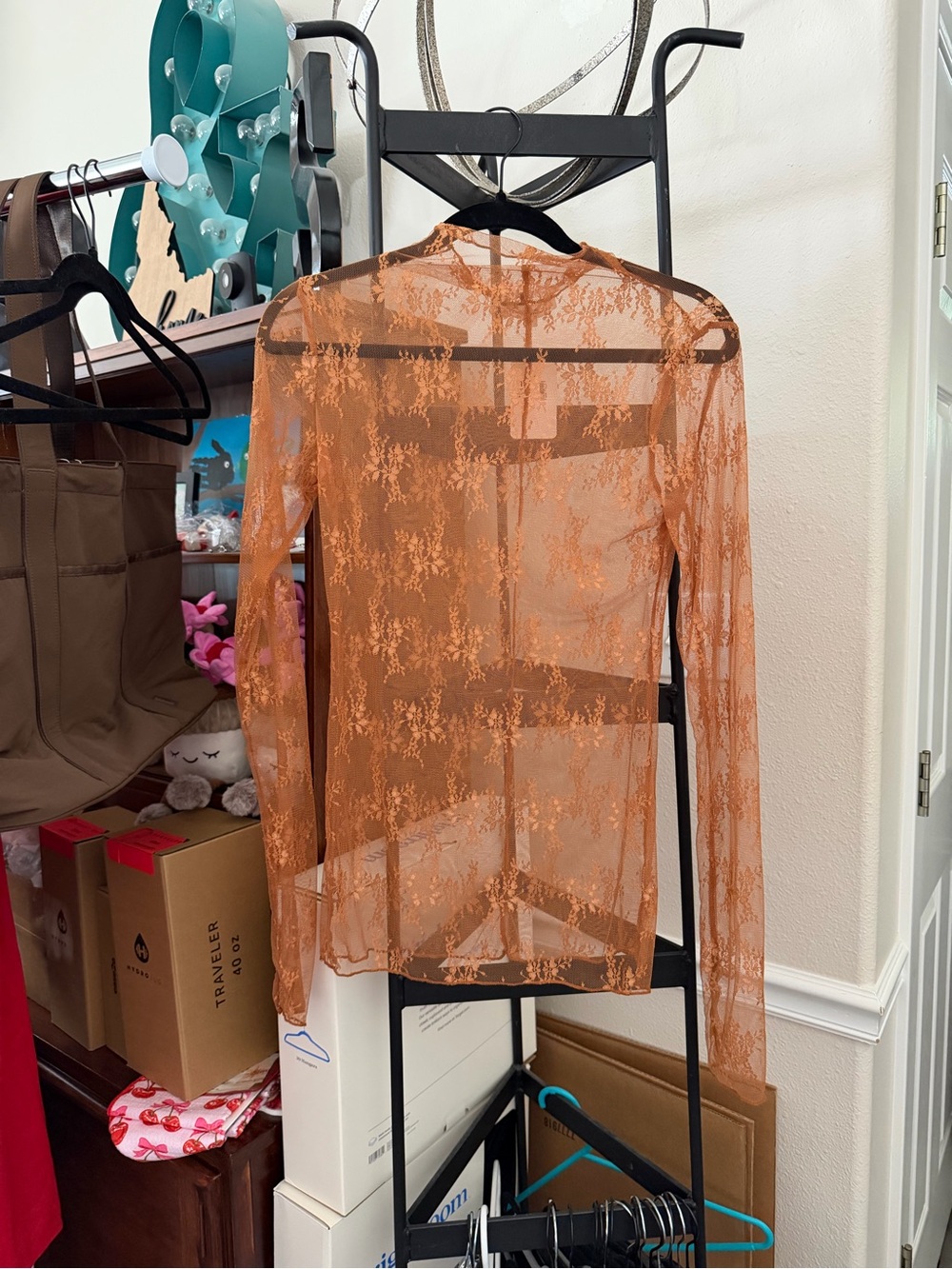 Sheer Floral Lace Long-Sleeve Top - Rust